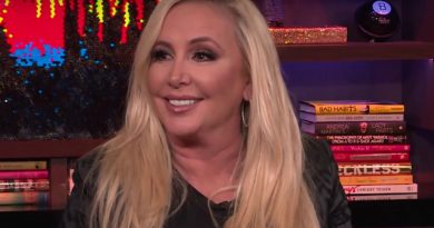 Real Housewives of Orange County - Shannon Beador Ends Romance With New Boyfriend