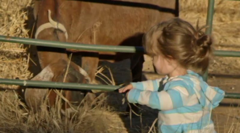 Little Life on the Prairie - Juniper Webnar and goat