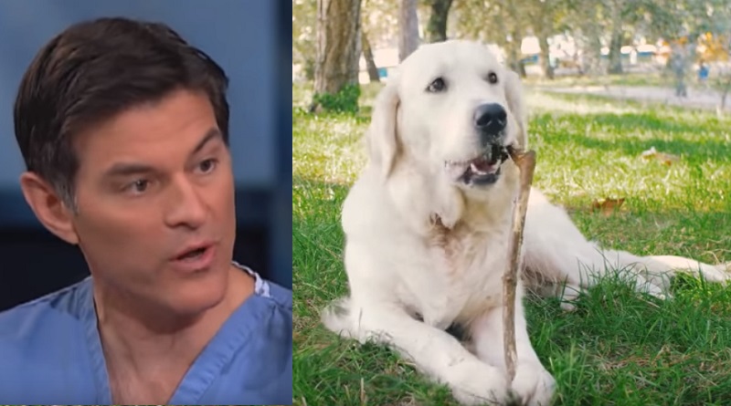 Dr. Oz Dog Licks Turn Deadly