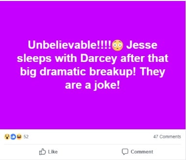 90 Day Fiance: Darcey Silva and Jesse Meester Before the 90 Days