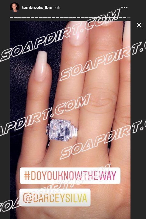90 Day Fiance: Darcey Silva engaged to Tom Brooks - Before the 90 Days