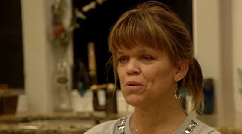 'Little People, Big World': Amy Roloff's New Book 'A Little Me ...