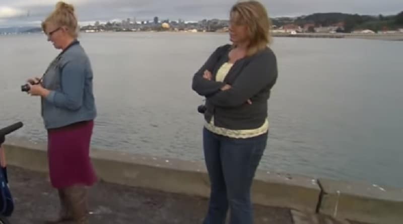 Sister Wives:Christine Brown and Meri Brown