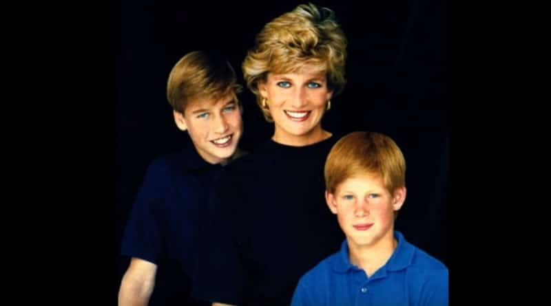 Princess Diana - Prince William - Prince Harry