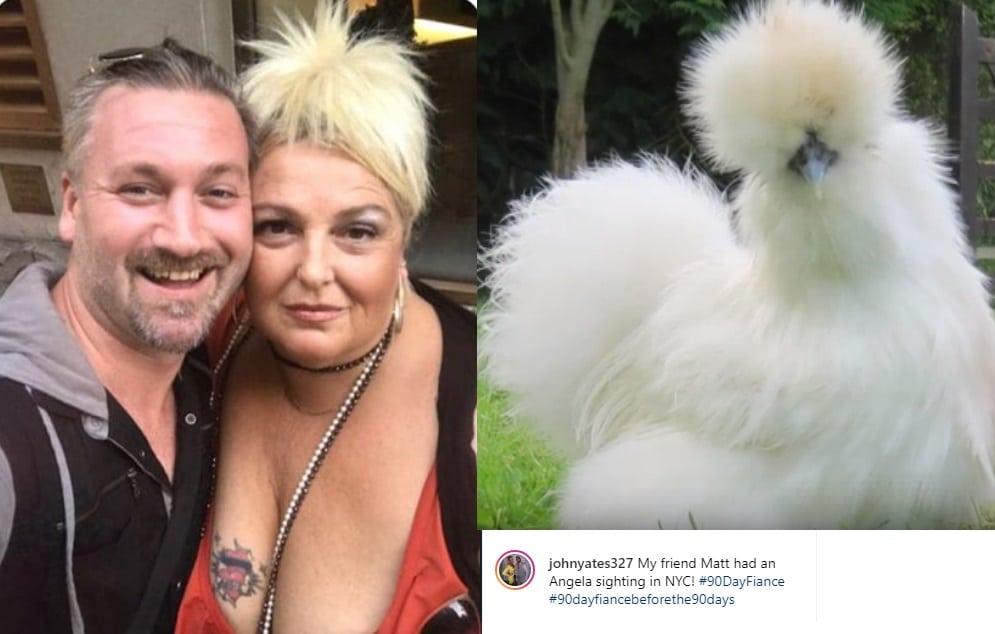 Sister Wives: Angela Deem - Silkie Chicken
