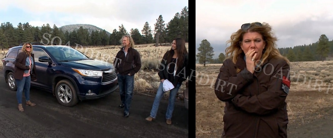 Sister Wives: Meri Brown - Kody Brown