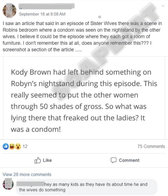 Sister Wives - Kody Brown