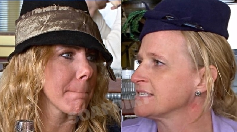 Sister Wives: Meri Brown - Christine Brown