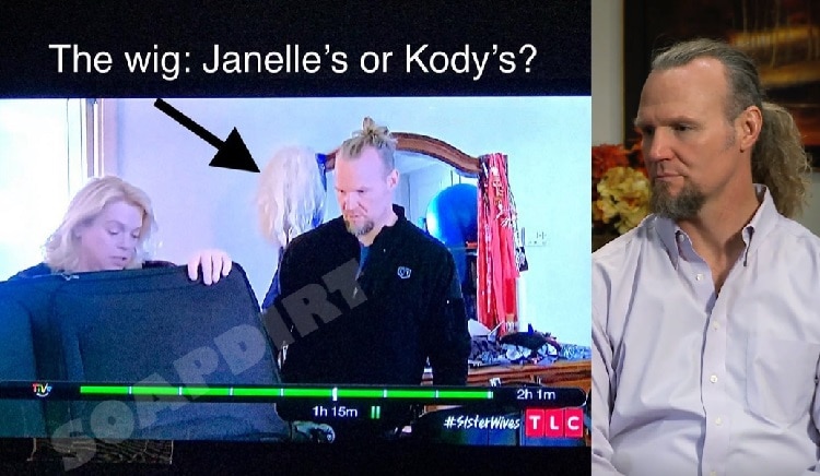 Sister Wives: Janelle Brown