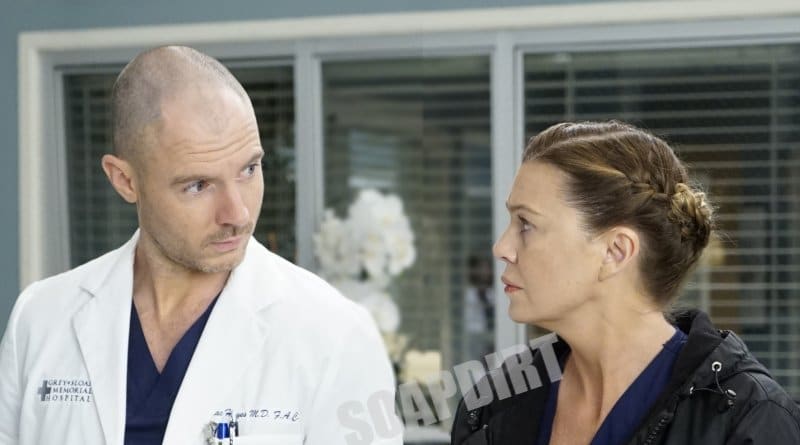 Greys Anatomy: McWidow - Cormac Hayes (Richard Flood) - Meredith Grey (Ellen Pompeo)