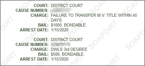 Love After Lockup: Matt Frasier - Arrest Record - 2020