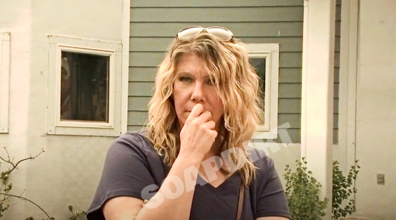 Sister Wives: Meri Brown