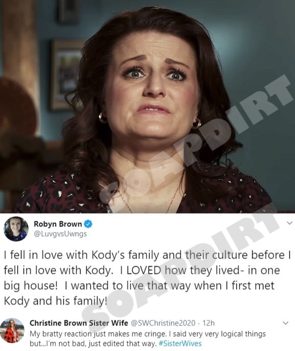 Sister Wives: Robyn Brown