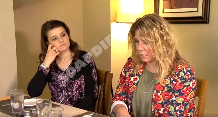 Sister Wives: Robyn Brown - Meri Brown