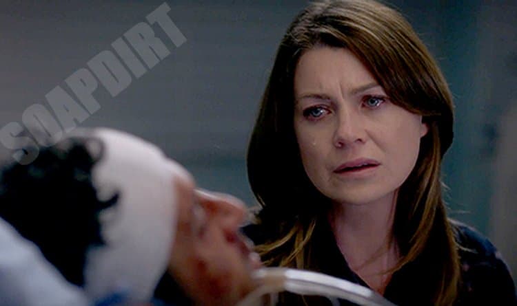 Greys Anatomy: Derek Shepherd (Patrick Dempsey) - Meredith Grey (Ellen Pompeo)