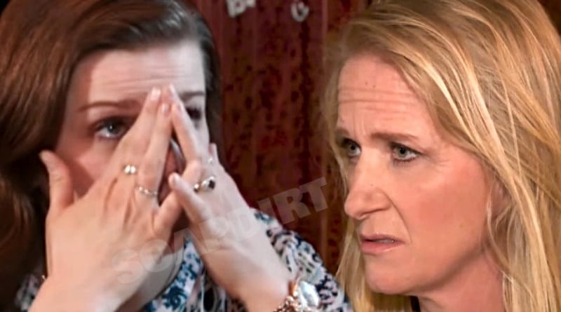 Sister Wives: Robyn Brown - Christine Brown