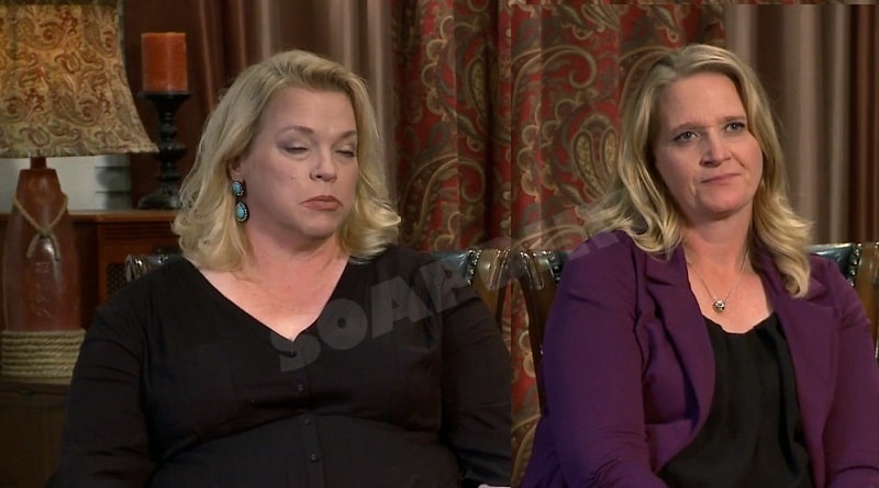 Sister Wives: Janelle Brown - Christine Brown