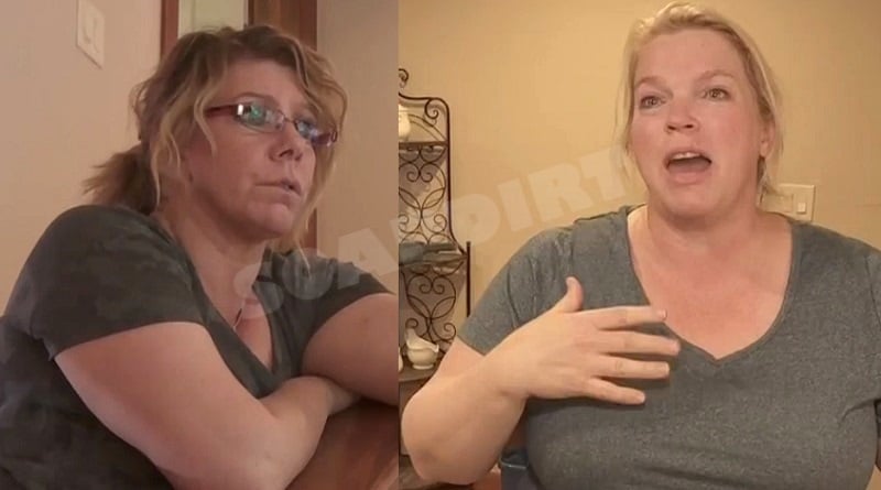 Sister Wives: Meri Brown - Janelle Brown