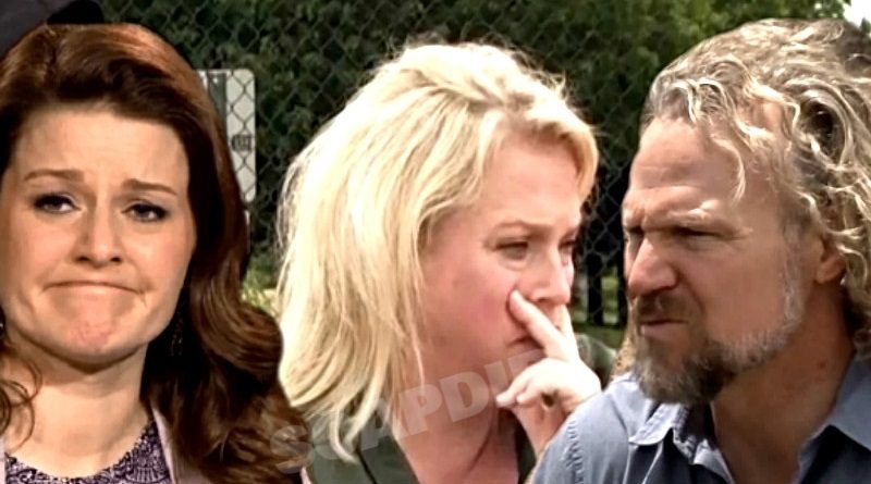 Sister Wives: Robyn Brown - Janelle Brown - Kody Brown