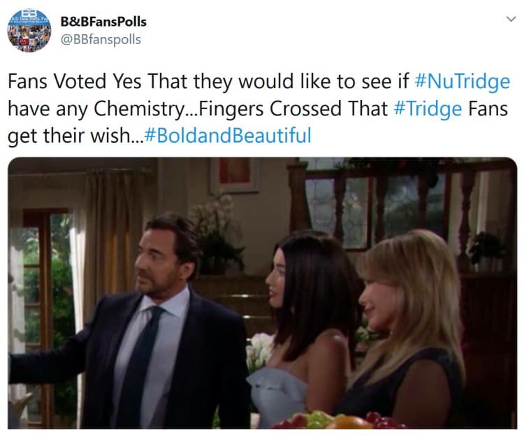 Bold and the Beautiful: Taylor Hayes (Hunter Tylo) - Ridge Forrester (Thorsten Kaye) - Steffy Forrester (Jacqueline MacInnes Wood)