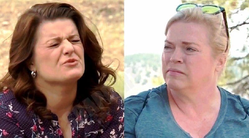 Sister Wives: Robyn Brown - Janelle Brown