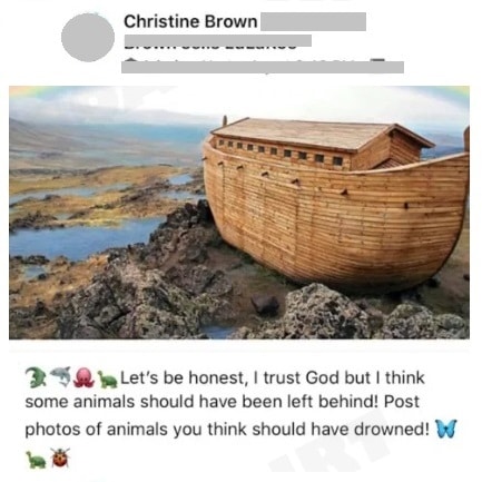 Sister Wives: Christine Brown