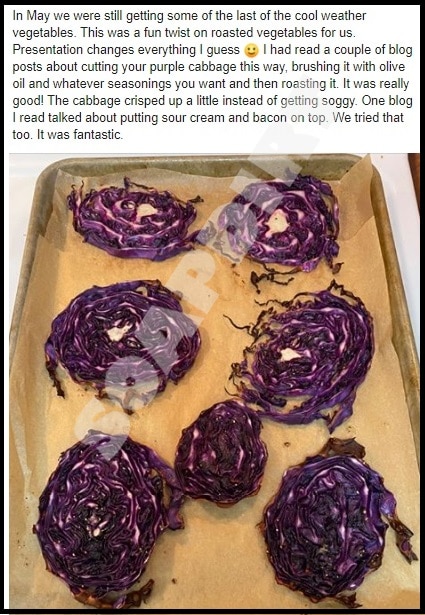 Sister Wives: Janelle Brown Cabbage Recipe