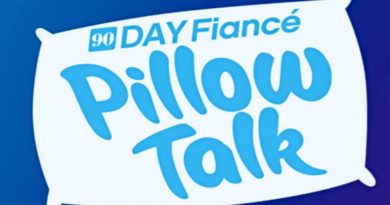 90 Day Fiance: Pillow Talk logo