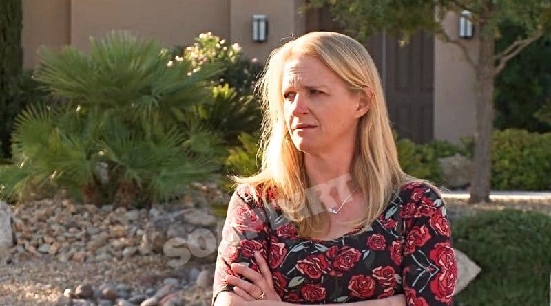 Sister Wives: Christine Brown