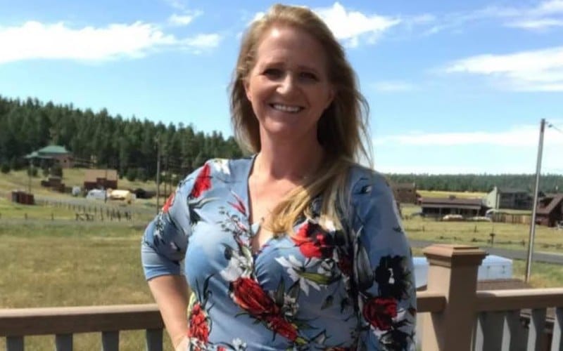 Sister Wives: Christine Brown