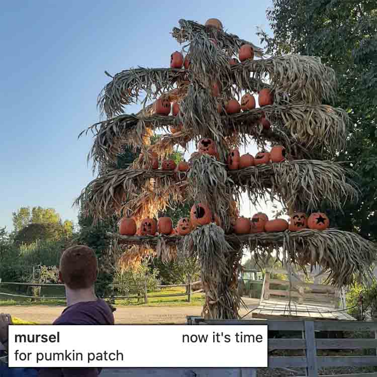 90 Day Fiance: Mursel Mistanoglu