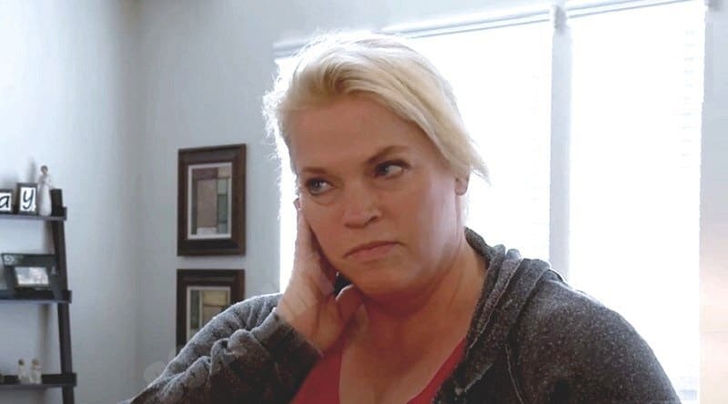 Sister Wives: Janelle Brown