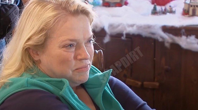 Sister Wives: Janelle Brown