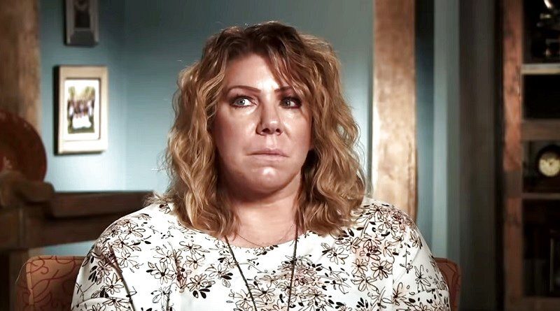 Sister Wives: Meri Brown