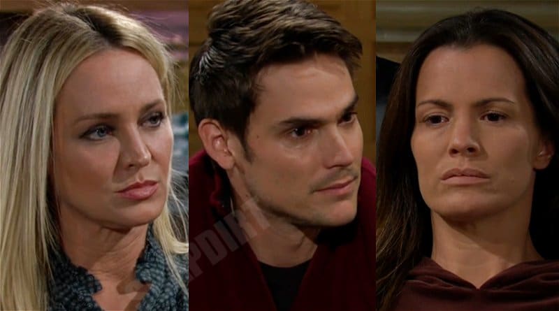 Young and the Restless Spoilers: Sharon Newman (Sharon Case) - Adam Newman )Mark Grossman) - Chelsea Newman (Melissa Claire Egan)