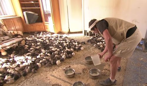 'Hoarders': Glen Brittner Murdered | Soap Dirt