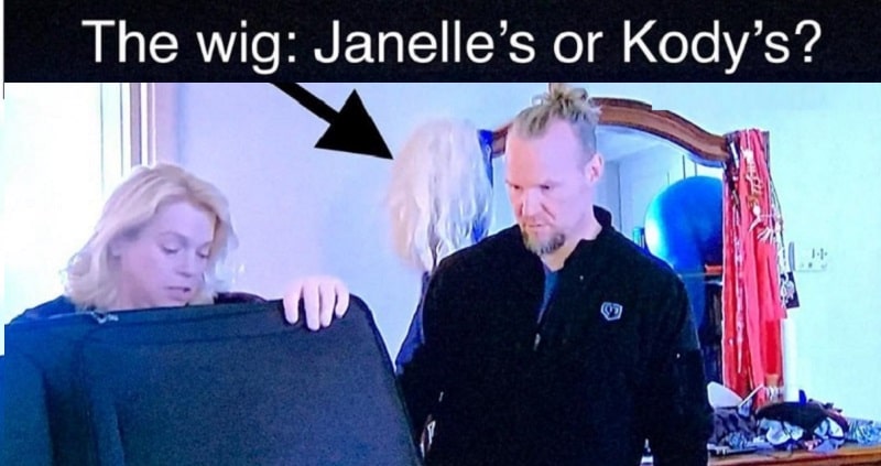 Sister Wives: Janelle and Kody Brown
