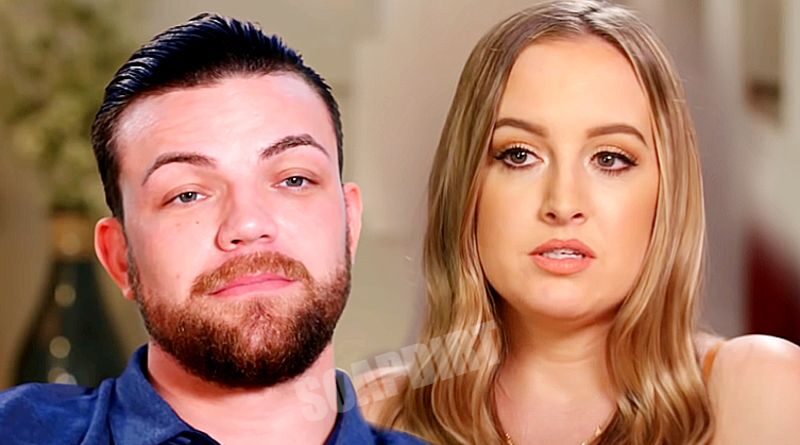 90 Day Fiance: Elizabeth Potthast - Andrei Castravet