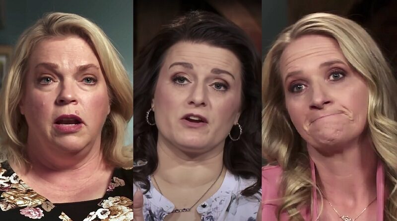 Sister Wives: Janelle Brown - Robyn Brown - Christine Brown