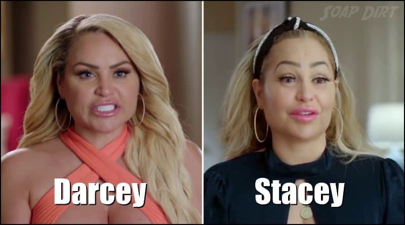 Darcey Silva - Stacey Silva - Plastic Surgery - Twins