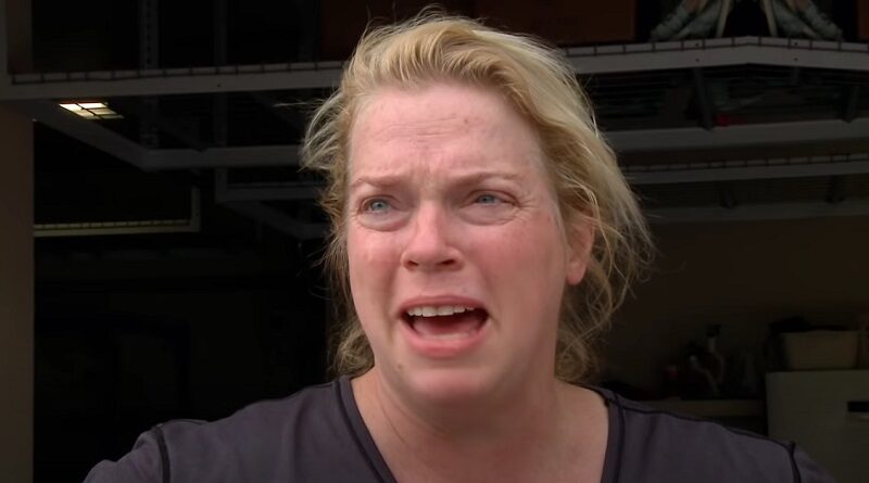 Sister Wives: Janelle Brown