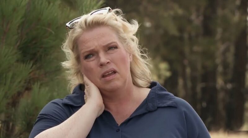 Sister Wives: Janelle Brown