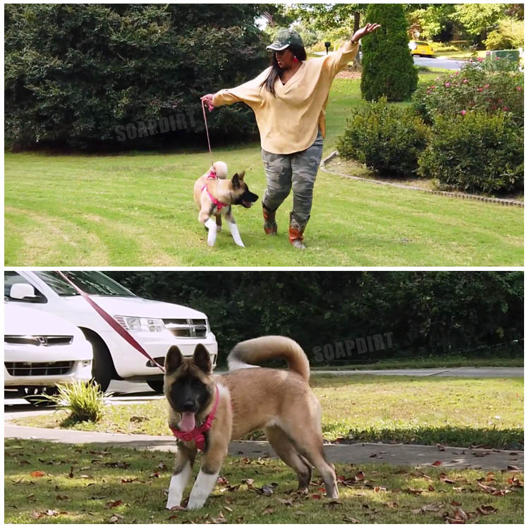 The Family Chantel: Karen Everett