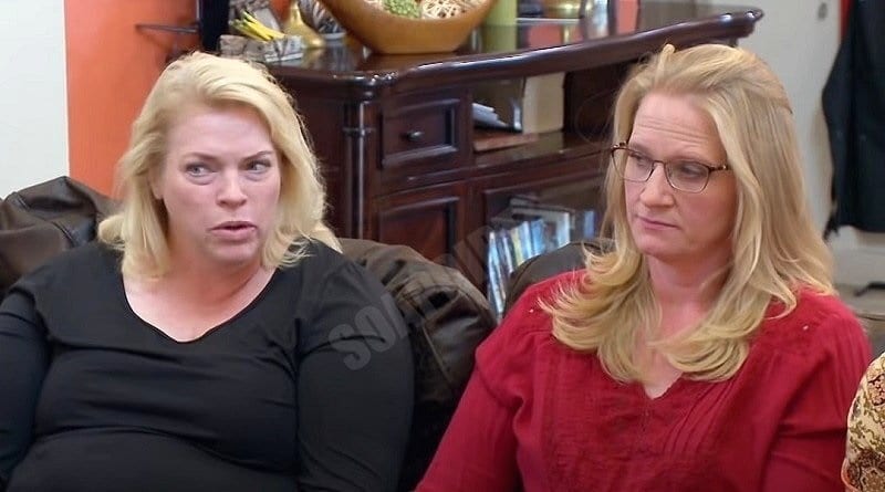 Sister Wives: Janelle Brown - Christine Brown