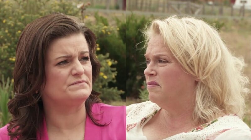 Sister Wives: Janelle Brown - Robyn Brown