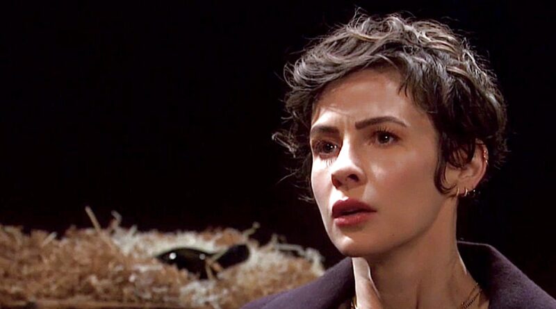 Days of Our Lives: Sarah Horton (Linsey Godfrey)