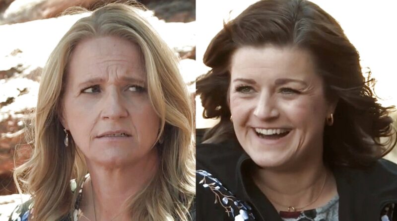 Christine Brown - Robyn Brown - Sister Wives