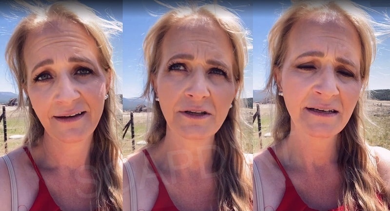 Sister Wives: Christine Brown