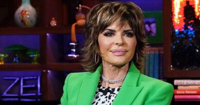 Real Housewives of Beverly Hills: Lisa Rinna