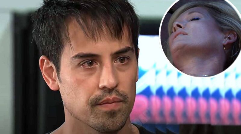 General Hospital Spoilers: Nikolas Cassadine (Marcus Coloma) - Ava Jerome (Maura West)